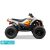 CFORCE EV 110 FUN