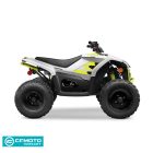 CFORCE EV 110 FUN